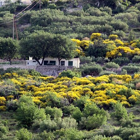 Villa  Davorka Podgora Esterno foto