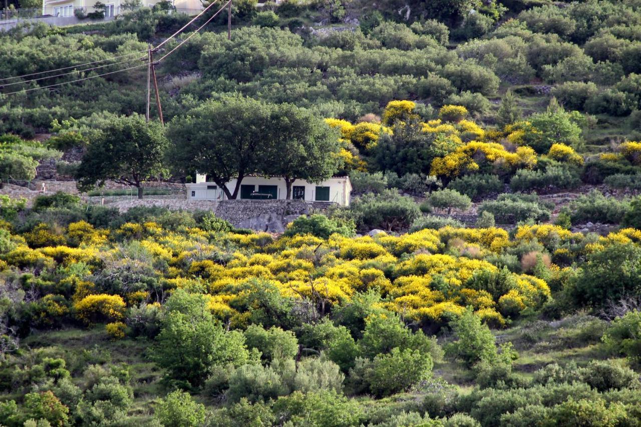 Villa  Davorka Podgora Esterno foto