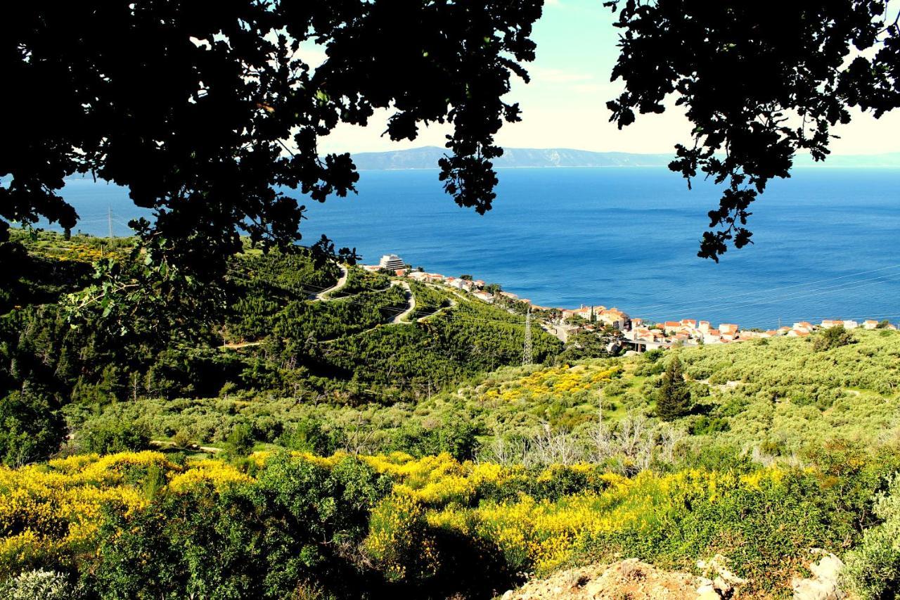 Villa  Davorka Podgora Esterno foto