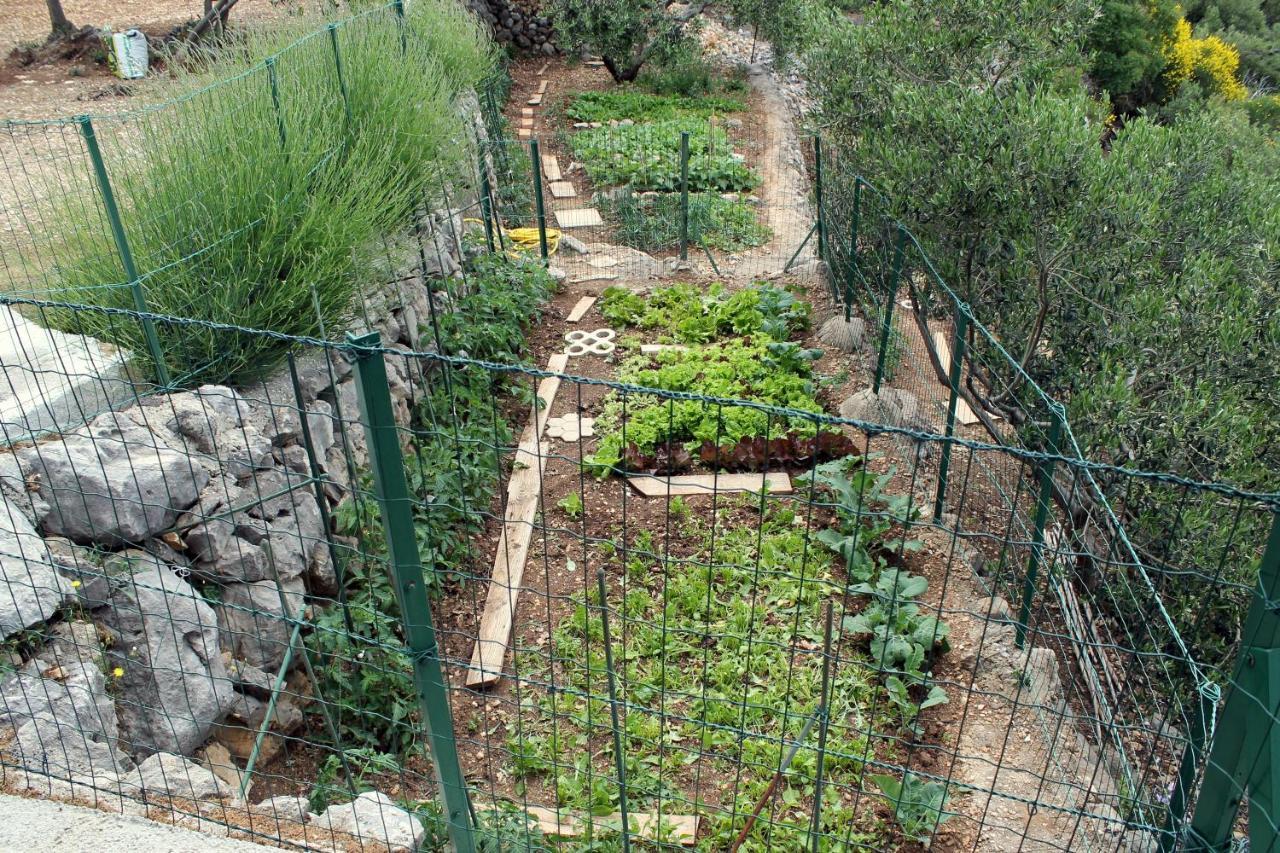 Villa  Davorka Podgora Esterno foto