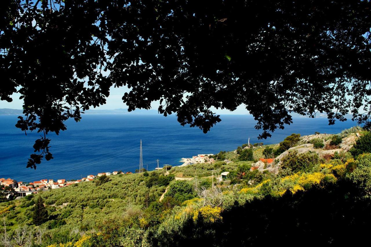 Villa  Davorka Podgora Esterno foto