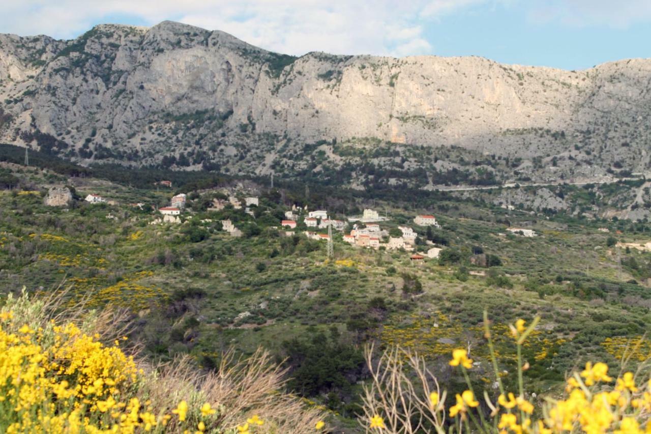 Villa  Davorka Podgora Esterno foto