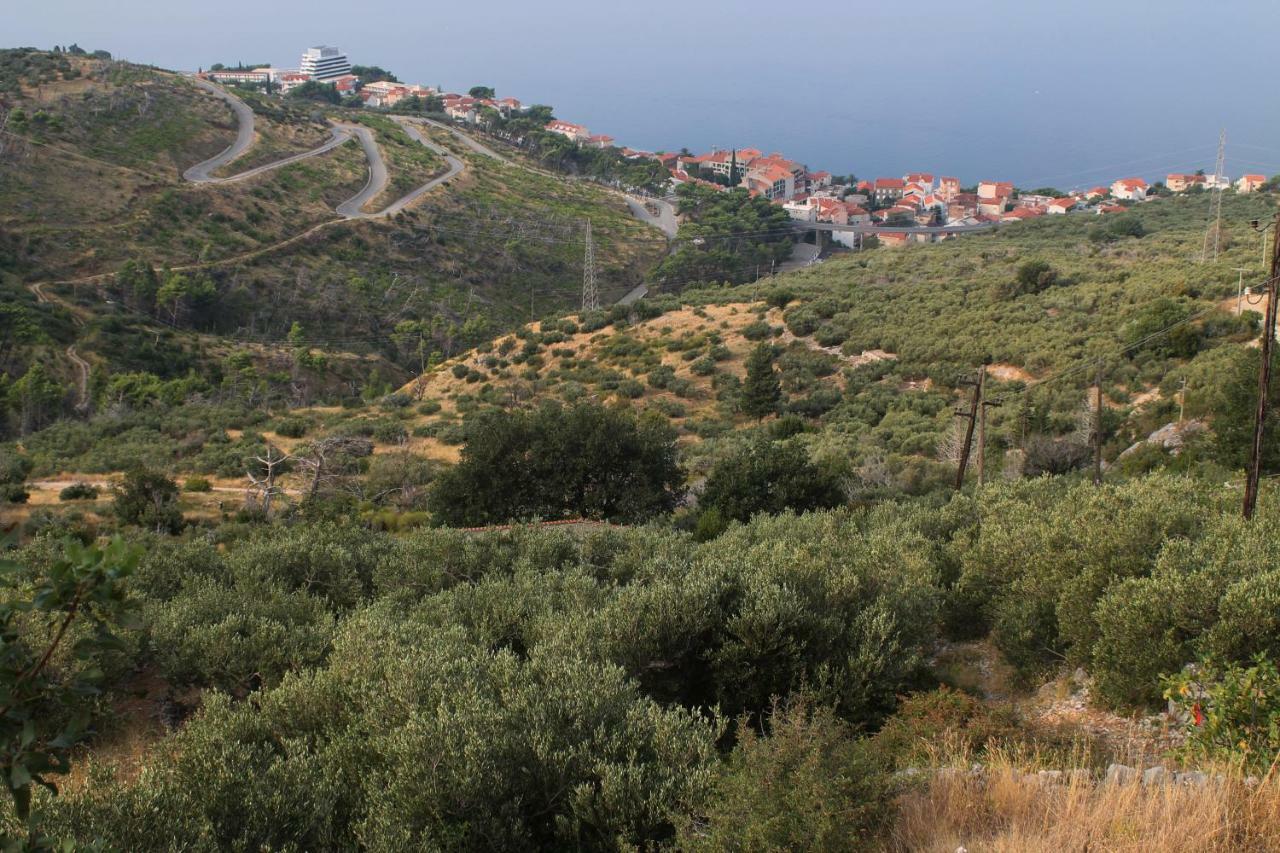 Villa  Davorka Podgora Esterno foto